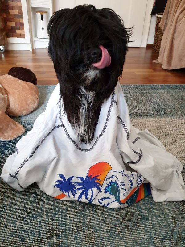 Mia