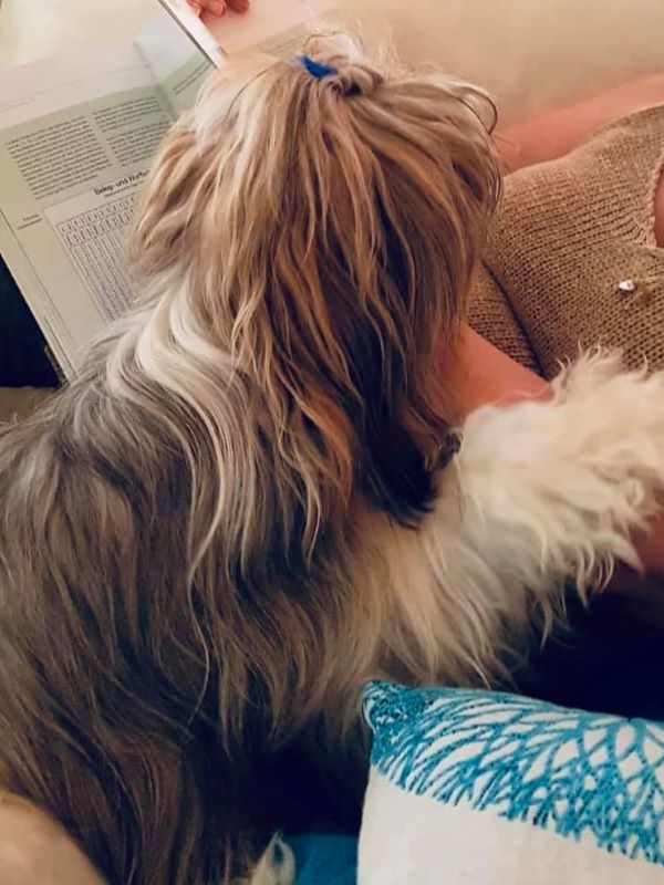 Lesen mit Frauchen ist toll sagt Li-na!