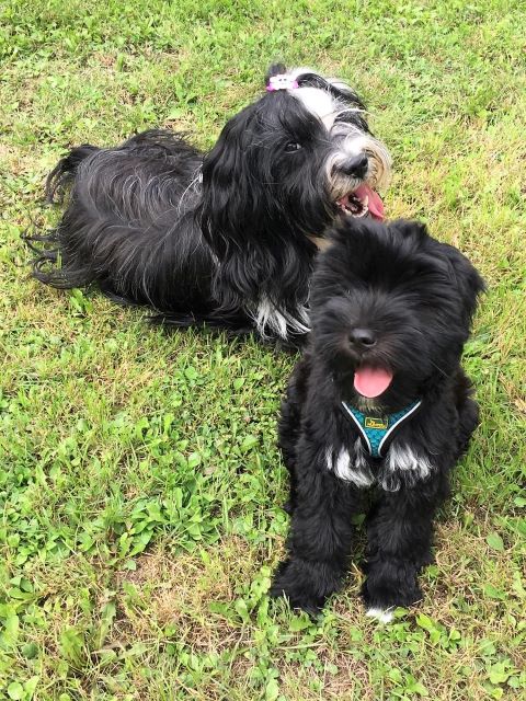 Lisha und Sohn Pepper (3 Monate)