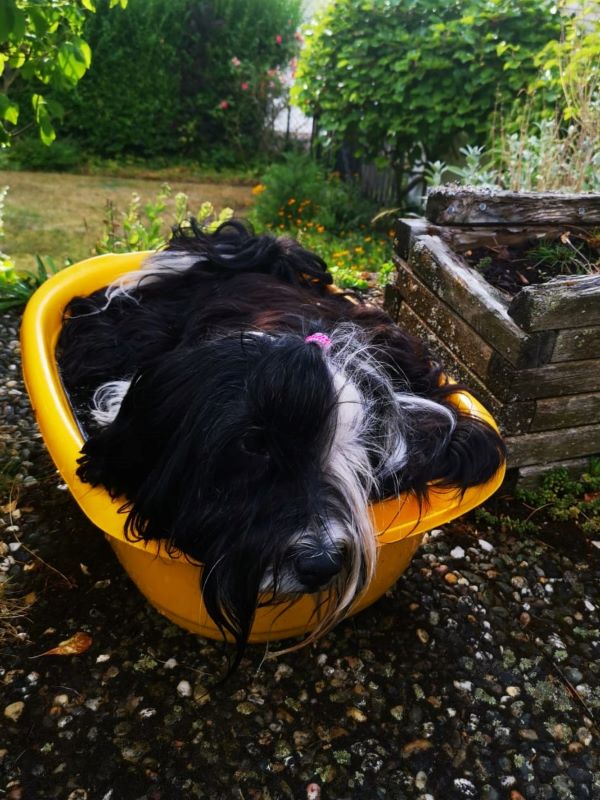 Ist da überhaupt noch Platz für Wasser?