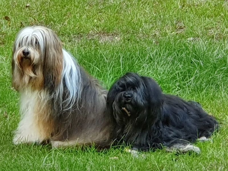 Milka und Yeshi
