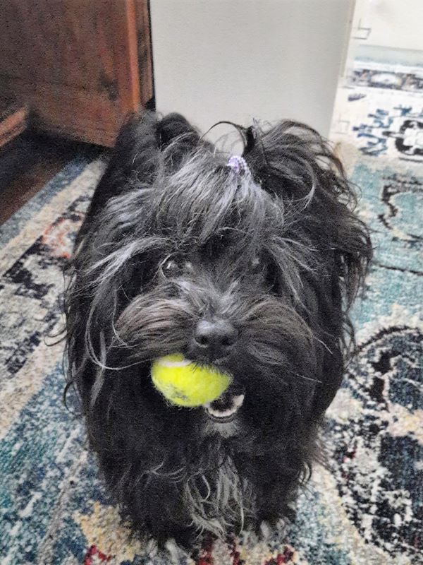 Mia (J)