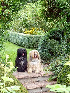 Bhayani und Monya im Park