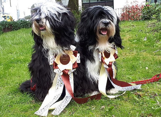 Hennef Ostermontag 04/2017 zusammen mit Mihu