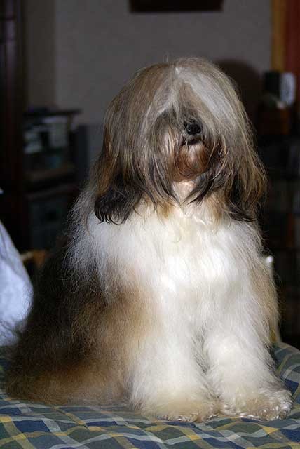 Milka