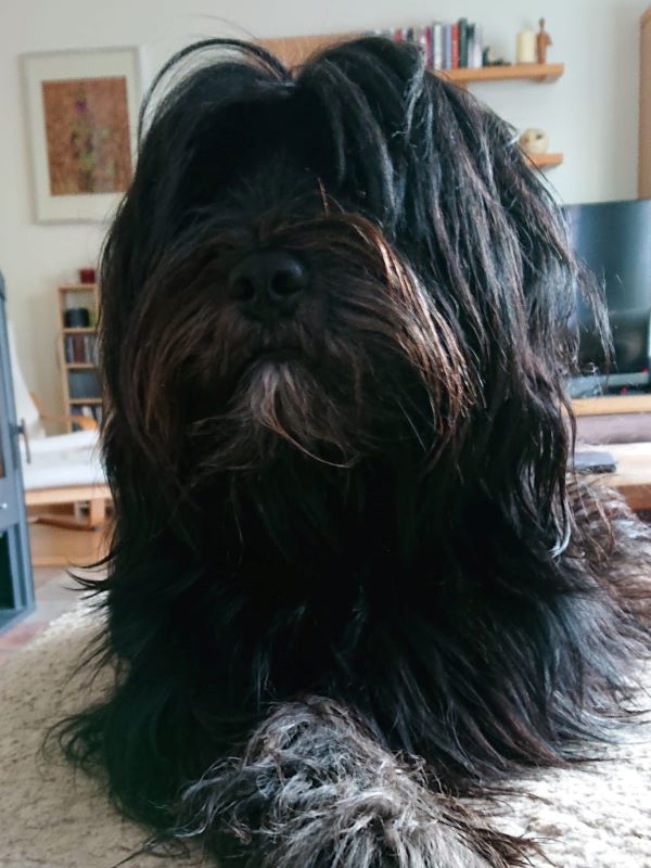Sam
