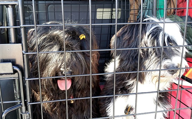 Yeshi und Lisha auf der Heimfahrt nach der Ausstellung Zirndorf
