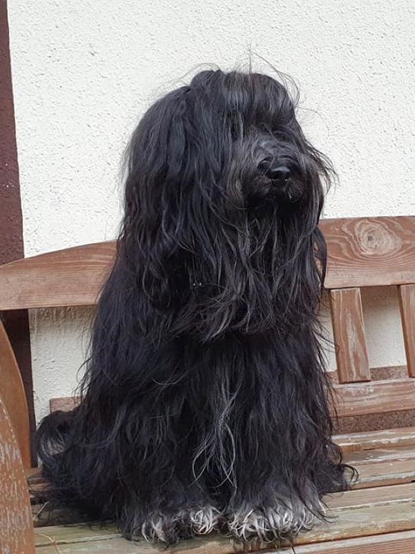 Schöner Yeshi-Mann