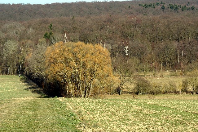 Landschaft im Hintertaunus