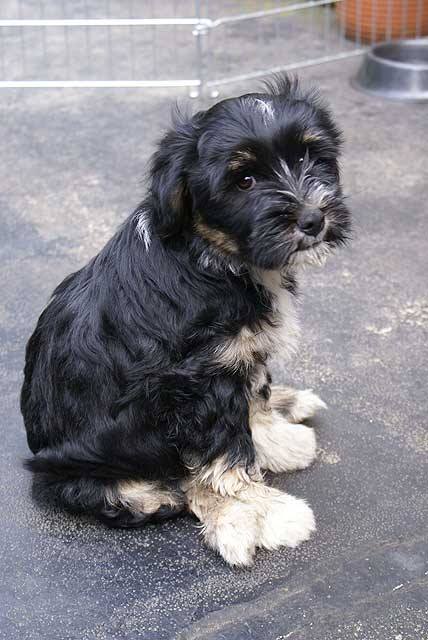 Murphy