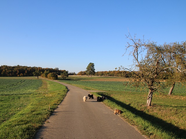 Aufbruch zum Spaziergang