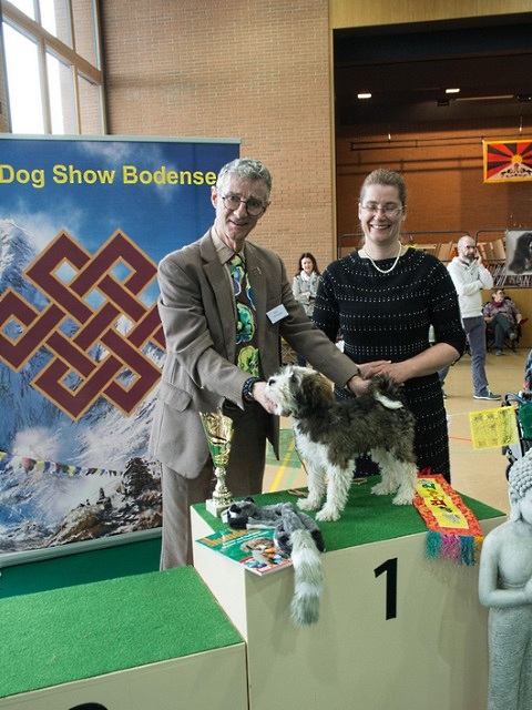 Han-na ist "Best in Show Puppy 2018"!