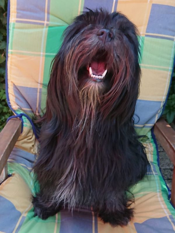 Sam