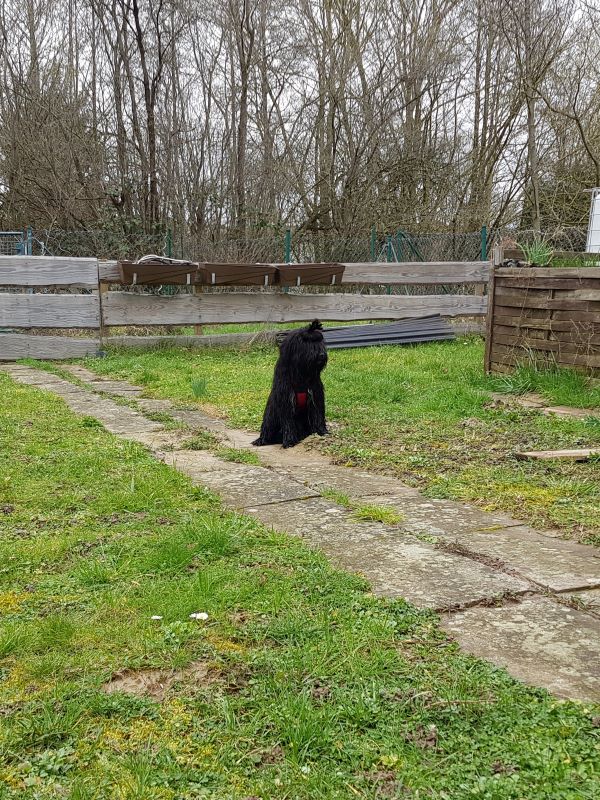 Pepper im Garten seiner Kindheit