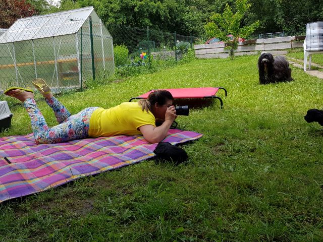 The making of