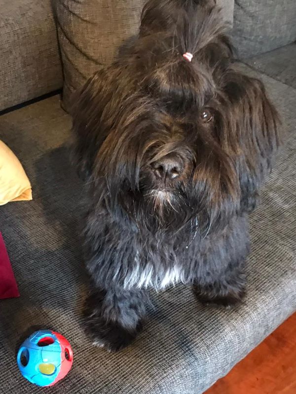 Pepper