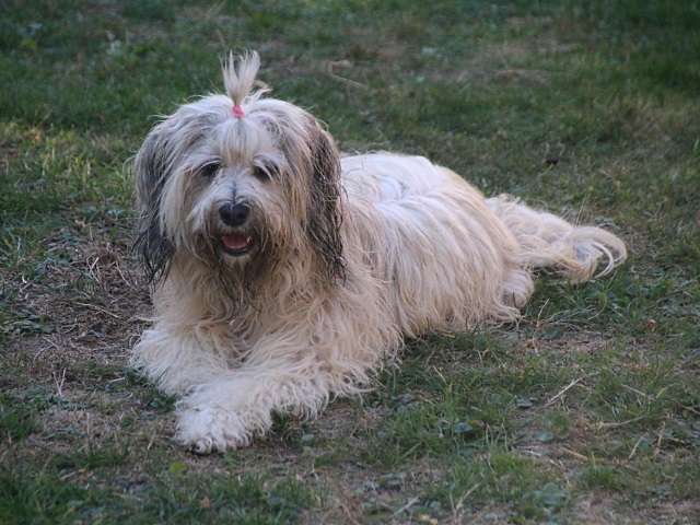 Fiona