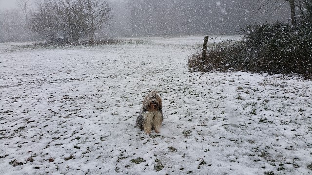 Milka im Schneesturm