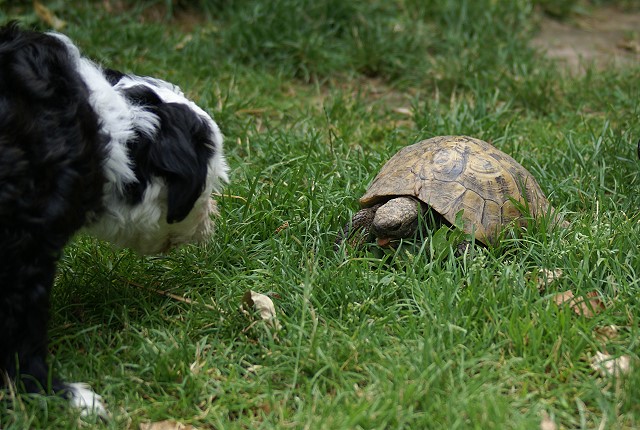 Wer bist du denn?