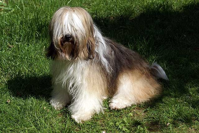 Milka