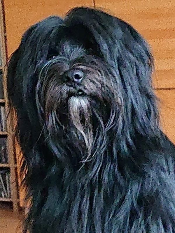Sam