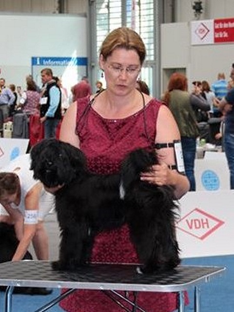 Puppyklasse Juni: Santi in Hannover