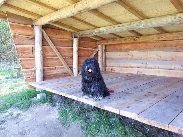 Yeshi im Shelter in Dänemark