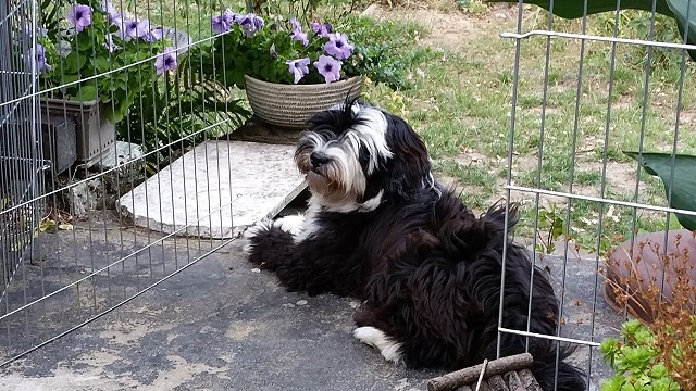 Ausruhen auf der Terrasse und dabei den Garten im Blick haben