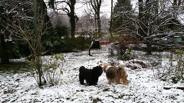 Nur soooo wenig Schnee.