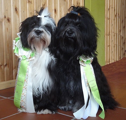 Lisha und Yeshi - Etzbach Tag 1