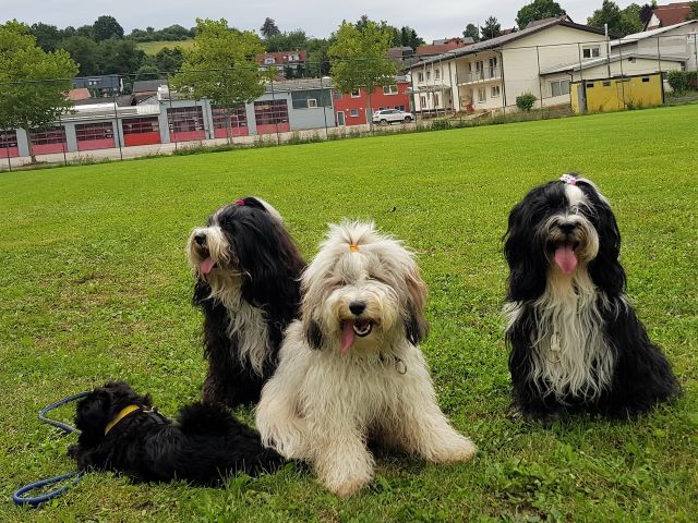 von li. nach re.: Mia, Mihu, Han-na und Lisha