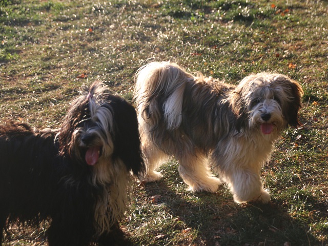 Lisha und ihre Tochter Han-na