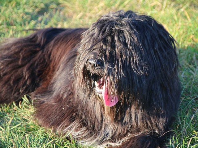 Sam
