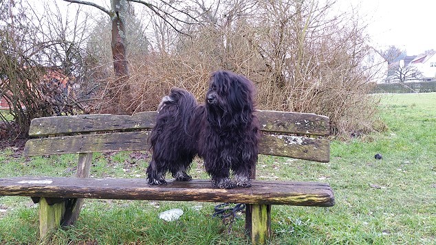 Yeshi in Pose