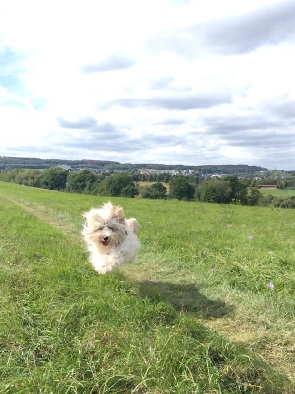Ida fliegt!