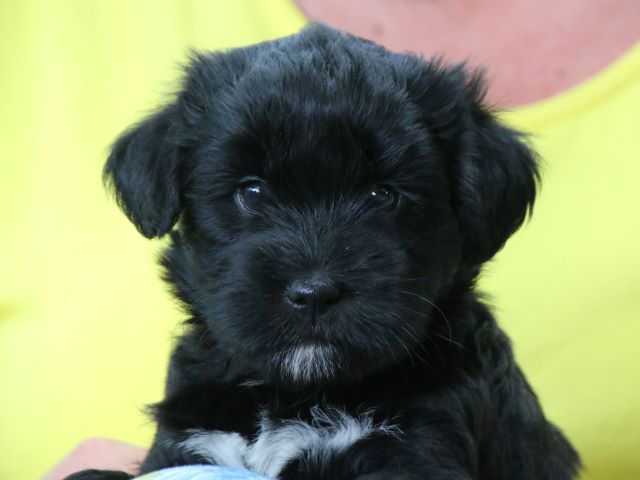 Mia ♥