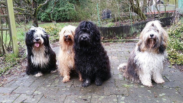 Ein Sonntag mit Lisha - 21.2.16