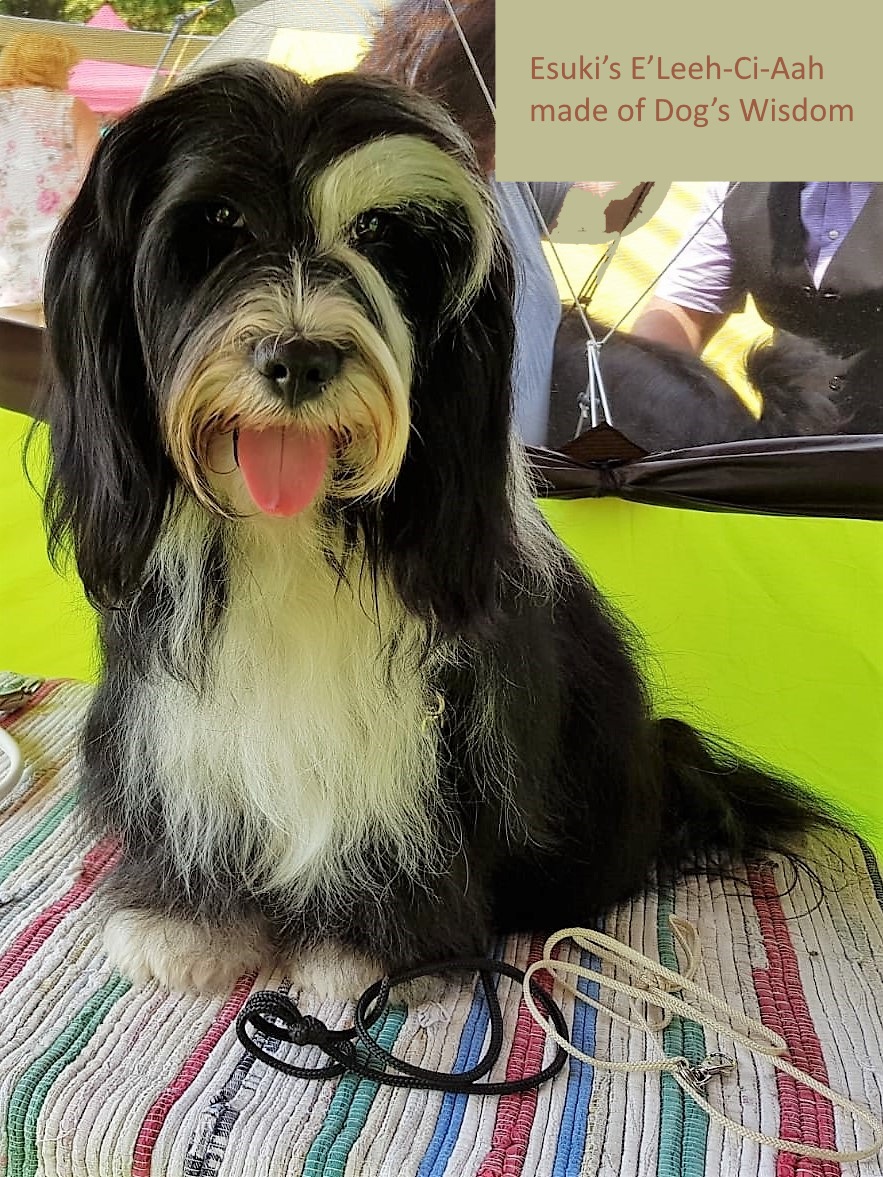 Esuki’s E’Leeh-Ci-Aah made of Dog’s Wisdom