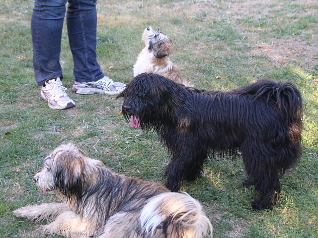 Han-na, Sam und Inja