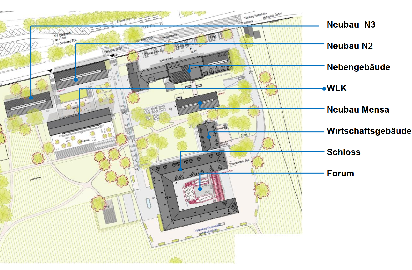Campus - EBS Universität für Wirtschaft und Recht (2019-2025)