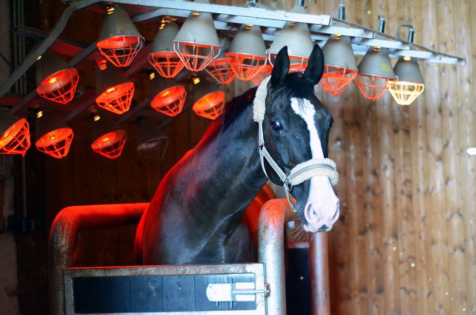 Solarium