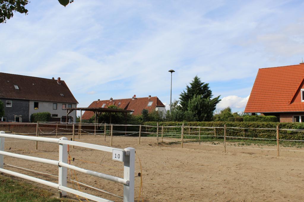 Paddocks vor der Reithalle