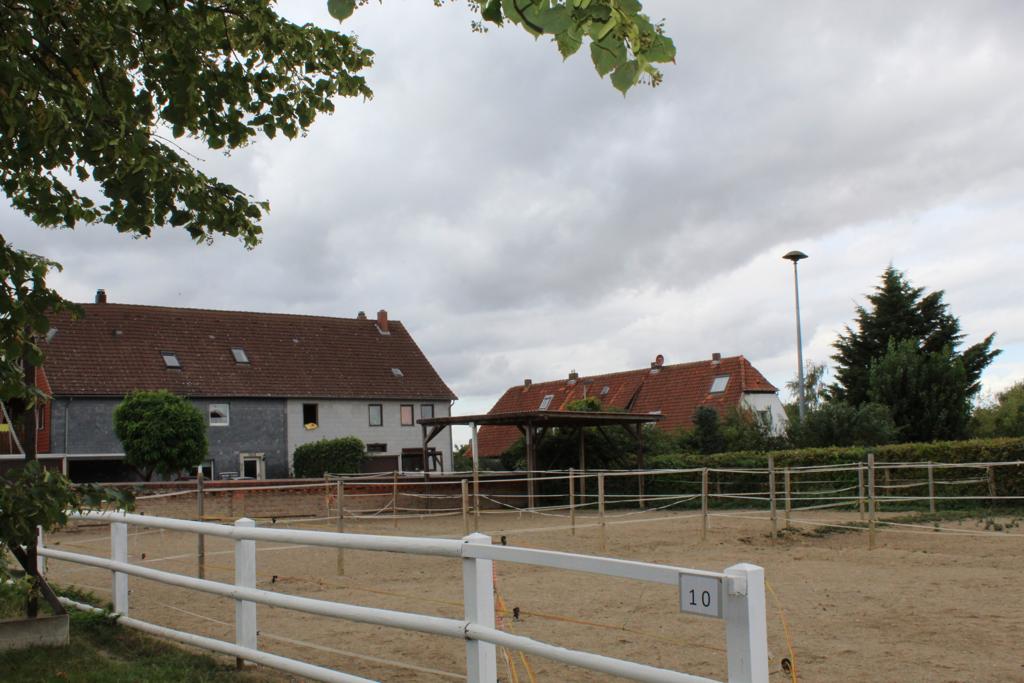 Paddocks vor der Reithalle