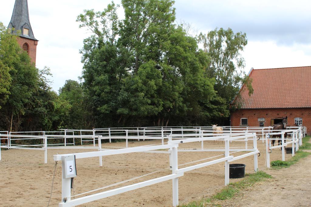 Wir verfügen über 15 Paddocks
