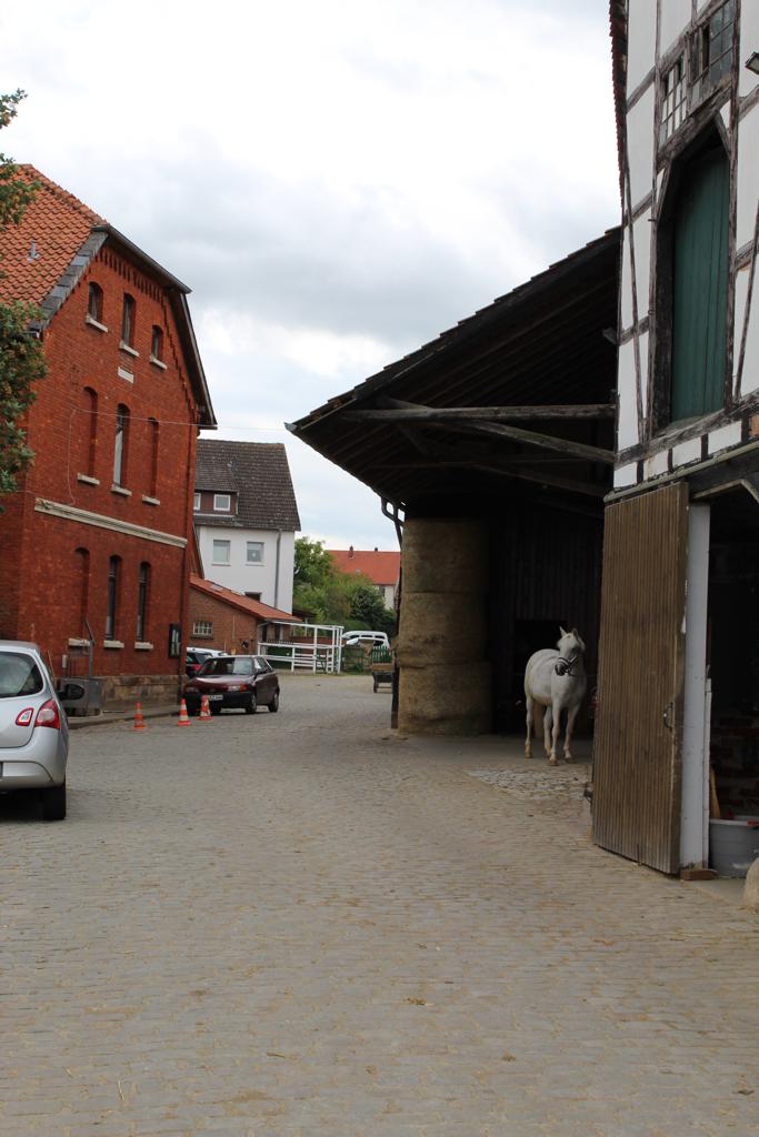 Hofeingang mit Stallgasse rechts