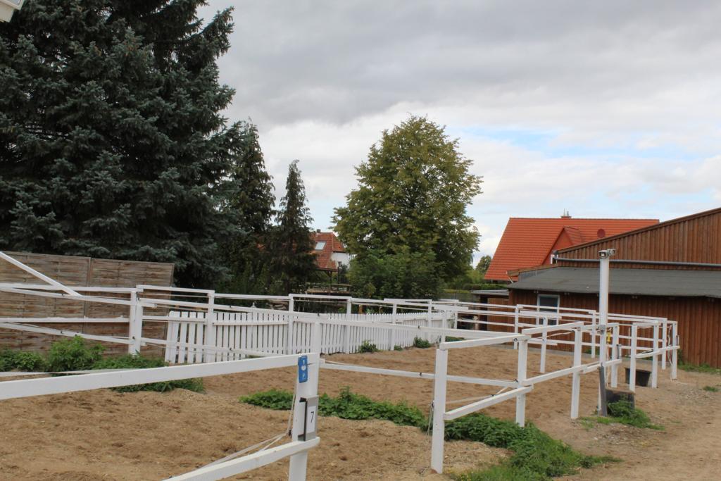 Die ehemaligen Wallachpaddocks wurden aufgeteilt