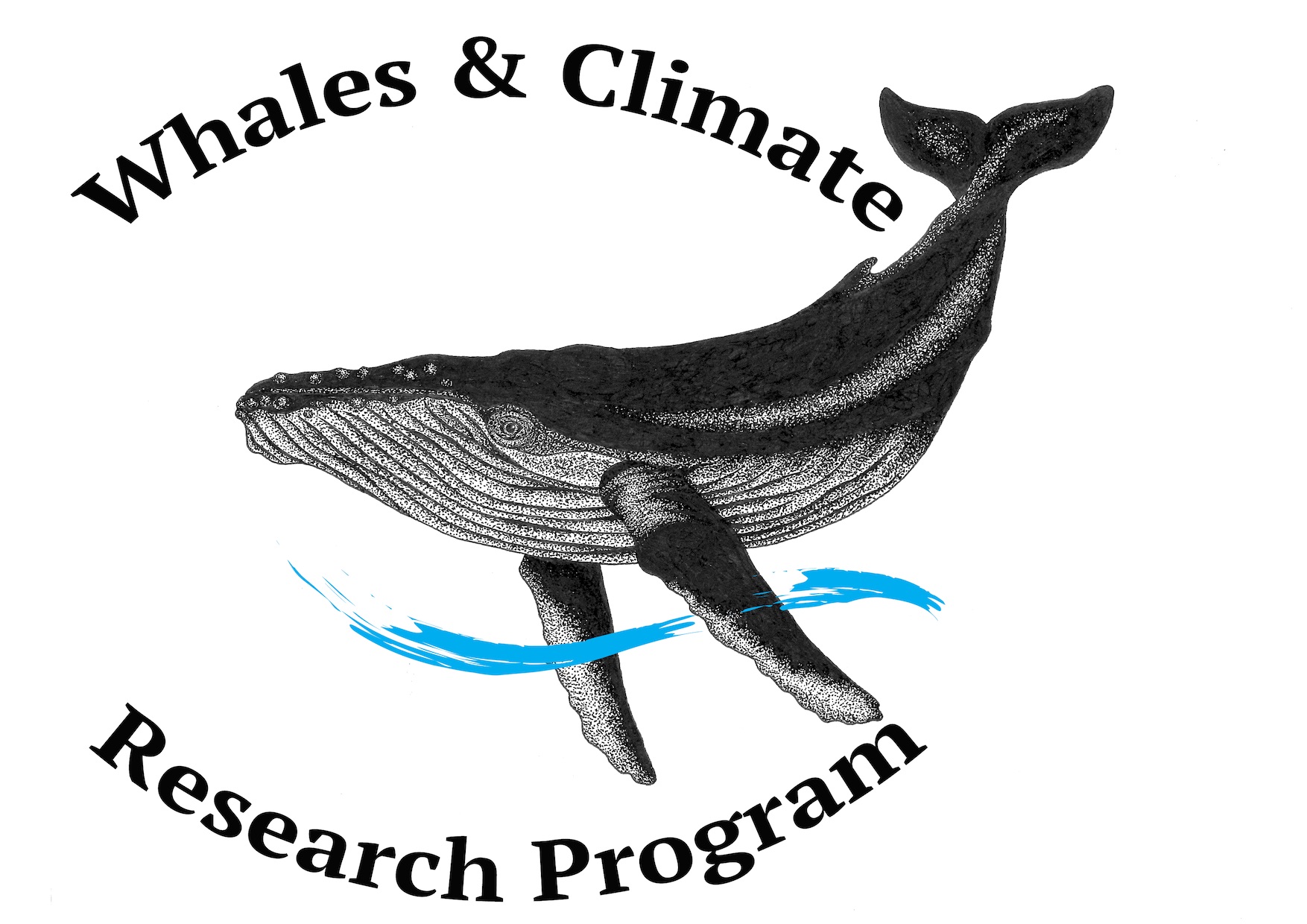 Our partner organisation