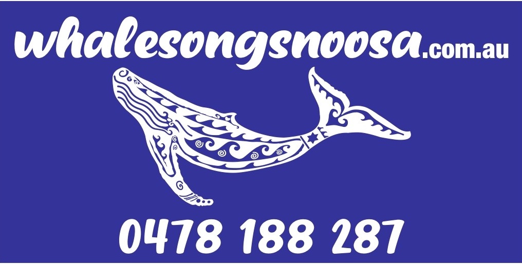 Our whale survey partner organisation
