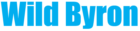 Our previous whale survey partner organisation