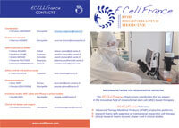 Brochure ECELLFRANCE